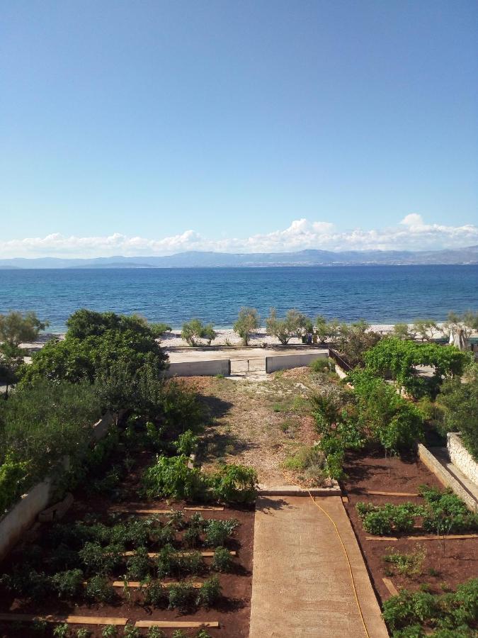 Apartments Zvonimir,Place By The Sea Mirce Exterior foto
